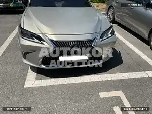 2019, Lexus / ES 300, VIN: JTHB21B11K2045291, hybrid