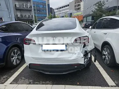 2024, Tesla / Model Y, VIN: LRWYGCF56RC206778, 45389 км., electric