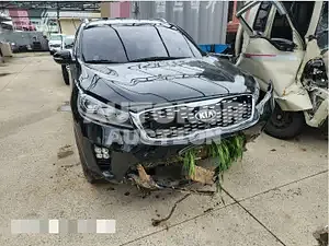 2018, Kia / Sorento, 79795 км., diesel, 1995 куб.см.