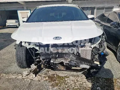 2021, Kia / Carnival, VIN: KNANE81BBMS068076, diesel