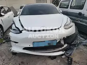 2019, Tesla / Model 3, VIN: 5YJ3E1EB0LF585747, 32000 км., electric, 225 куб.см.