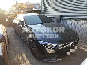 2020, Mercedes-Benz / CLS 450, VIN: W1K2J5KB8LA077821, 20000 км., gas, 2999 куб.см.