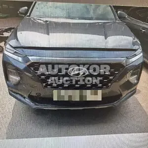 2019, Hyundai / Santa FE, VIN: KMHS381CBLU191218, 29481 км., diesel, 2199 куб.см.
