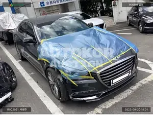 2017, Genesis / G80, VIN: KMHGL41DBJU249567, gas