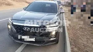 2018, Hyundai / Santa FE, VIN: KMHS281BBKU107541, 110370 км., diesel, 1995 куб.см.