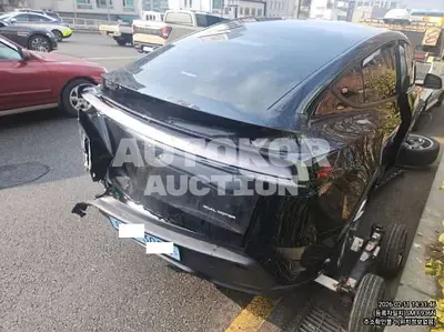 2025, Tesla / Model Y, electric