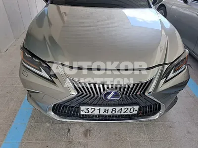 2019, Lexus / ES 300, VIN: JTHB21B11K2069316, hybrid, 2487 куб.см.