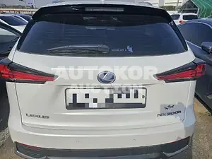 2019, Lexus / NX 300, VIN: JTJBJRBZXK2121905, 111541 км., hybrid, 2499 куб.см.