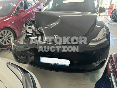 2022, Tesla / Model Y, VIN: 7SAYGDEE7NF565867, 8294 км., electric
