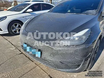 2024, Tesla / Model Y, electric