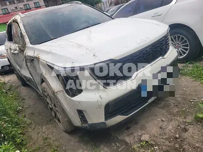 2023, Kia / Sorento, diesel, 2200 куб.см.