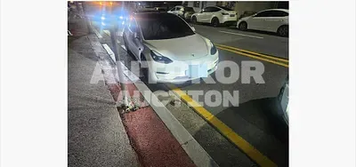 2021, Tesla / Model 3, 27247 км., electric, 225 куб.см.