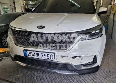 2021, Kia / Carnival, VIN: KNANC81BBMS021671, diesel