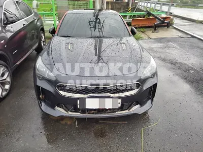 2017, Kia / Stinger, 95620 км., gas, 3300 куб.см.