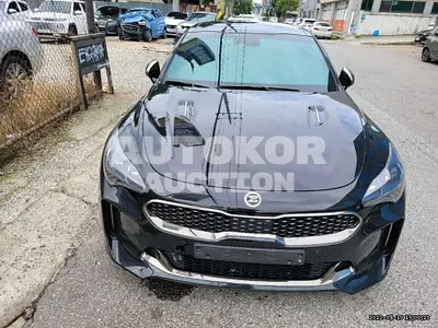 2020, Kia / Stinger, VIN: KNAE751CDLS070299, gas