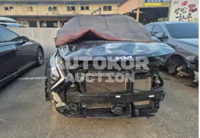 2024, Kia / Sportage, gas, 1600 куб.см.