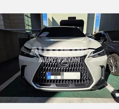 2024, Lexus / nx350h, 40380 км., hybrid 2024, Lexus / nx350h, 40380 км., hybrid