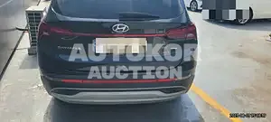 2020, Hyundai / Santa FE, VIN: KMHS381HHMU323376, 63866 км., diesel
