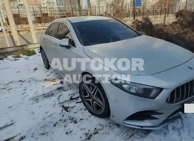 2020, Mercedes-Benz / A 220, VIN: W1K3G4EB0LJ237991, 42834 км., gas