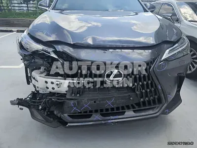 2025, Lexus / nx350h, hybrid 2025, Lexus / nx350h, hybrid