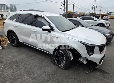 2024, Kia / Sorento, 26369 км., gas, 2500 куб.см.