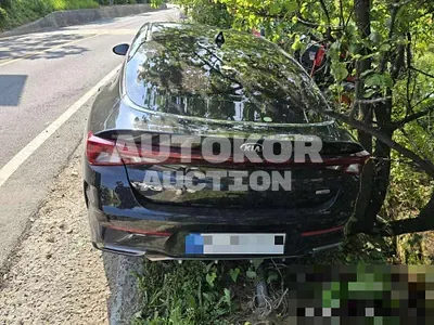 2021, BMW / B5, 45320 км., gas, 1600 куб.см.