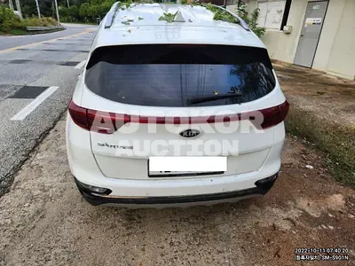 2019, Kia / Sportage, VIN: KNAP681ABKK646193, gas