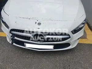 2020, Mercedes-Benz / A 220, VIN: W1K3G4EB2LJ191581, gas