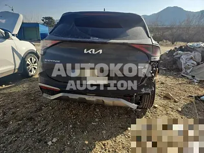 2024, Kia / Sportage, hybrid