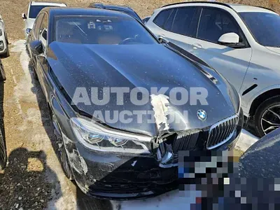 2016, BMW / 750, 173950 км., gas