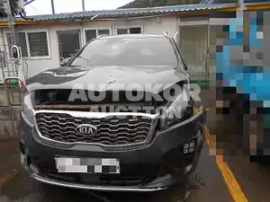 2019, Kia / Sorento, VIN: KNAPS81BDLA602007, diesel, 2199 куб.см.
