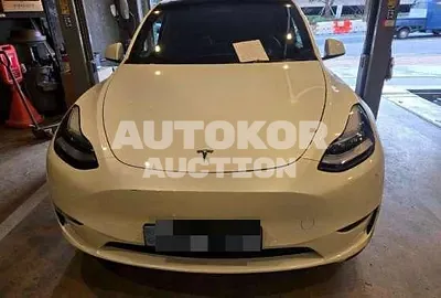 2021, Tesla / Model Y, 38348 км., electric