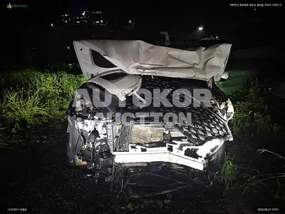 2020, Hyundai / Palisade, VIN: KMHR581ABMU241344, 197307 км., diesel, 2199 куб.см.