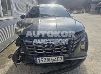 2023, Hyundai / Tucson, 62309 км., diesel, 2000 куб.см.