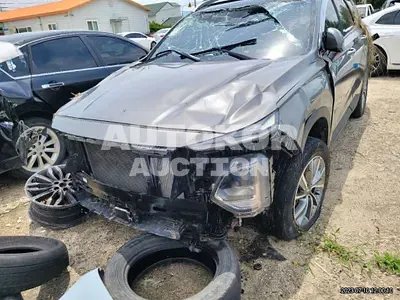 2019, Hyundai / Santa FE, VIN: KMHS281CBKU042942, 55347 км., diesel