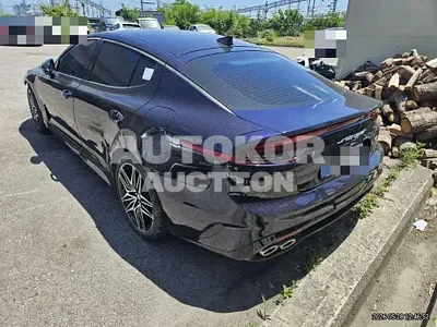 2021, Kia / Stinger, 19898 км., gas, 2500 куб.см.