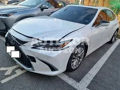 2020, Lexus / ES 300, VIN: JTHB21B17L2081052, 146466 км., hybrid