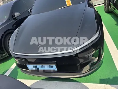 2025, Tesla / Model Y, electric
