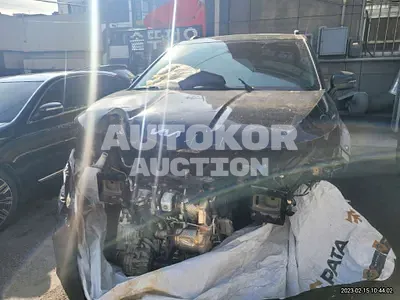 2021, Kia / Carnival, VIN: KNANC81BBMS075726, diesel