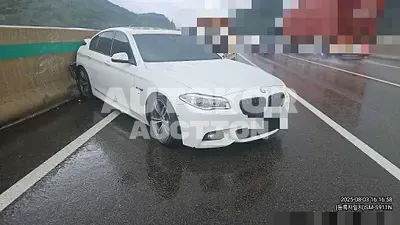 2016, BMW / 520, 163209 км., diesel
