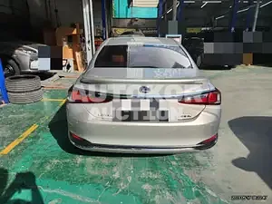 2019, Lexus / ES 300, VIN: JTHB21B14K2065907, 66142 км., hybrid