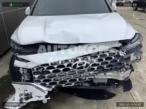 2021, Hyundai / Santa FE, VIN: KMHS281HHMU395549, diesel