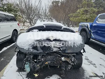 2021, Ford / Mustang GT, gas
