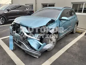 2019, Hyundai / Kona, VIN: KMHK381GFKU029477, 30000 км., electric