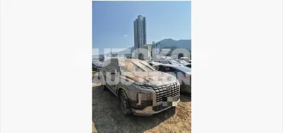 2024, Hyundai / Palisade, 24000 км., diesel, 2199 куб.см.