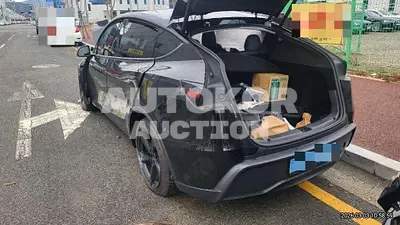 2025, Tesla / Model Y, electric