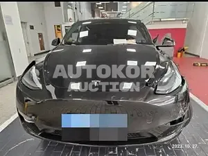 2023, Tesla / Model Y, VIN: 7SAYGDEF3PF642603, 40000 км., electric