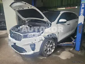 2019, Kia / Sorento, VIN: KNAPH81ABLA599664, 50000 км., diesel