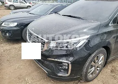 2020, Kia / Carnival, VIN: KNAME811BLS642896, 20000 км., gas