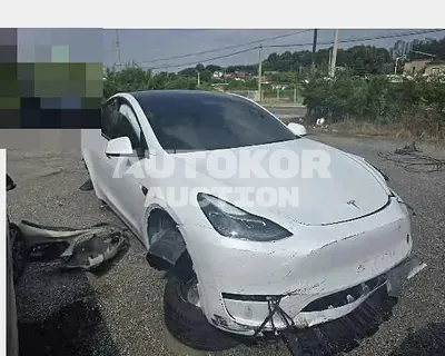 2024, Tesla / Model Y, electric, 230 куб.см.